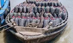 Excise department seizes huge amount of illicit liquor, fermented wash