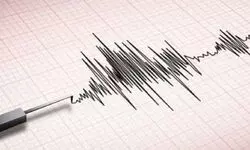 Earthquake tremors felt in several parts of north India
