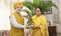 L-G, CM review energy, summer, monsoon prep