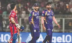 Sleepless Knights Sleepless Knights