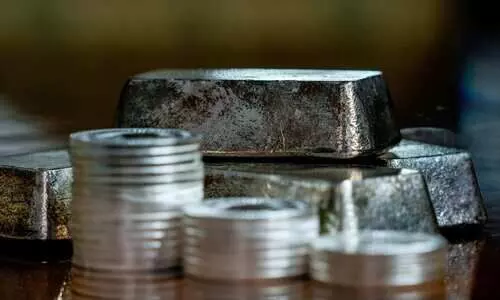 Govt imposes import curbs on silver, puts metal under licence Govt imposes import curbs on silver, puts metal under licence
