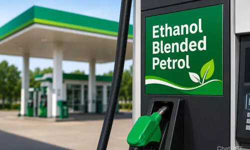 Ethanol blending programme safe, use of E20 wont affect vehicle insurance validity: Govt
