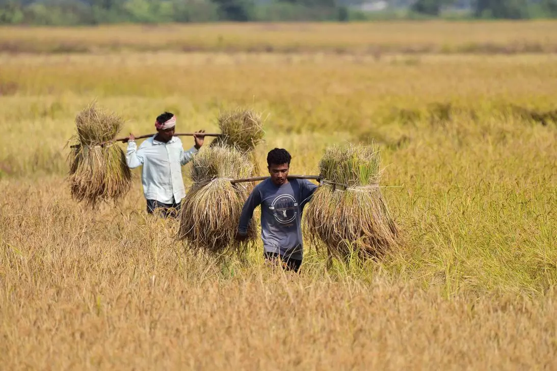 Heat, War and Harvests